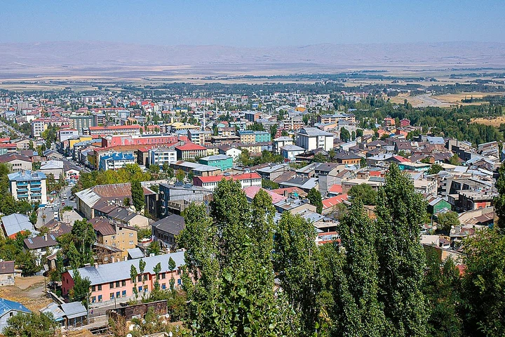 Muş